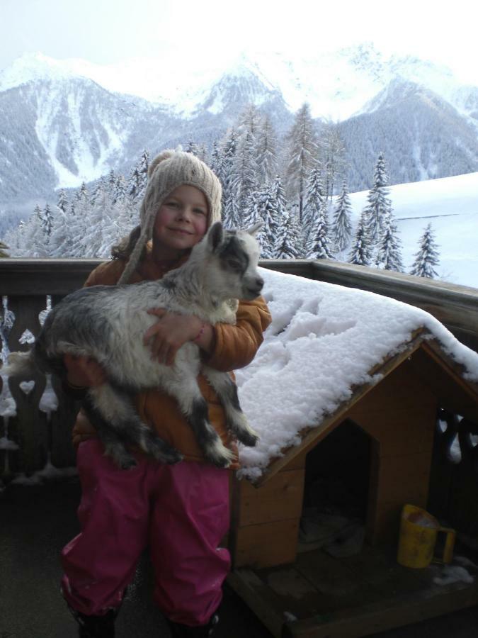 Chalet Niederhaushof Ultimo Zewnętrze zdjęcie