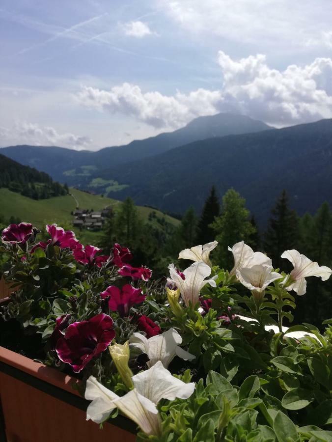 Chalet Niederhaushof Ultimo Zewnętrze zdjęcie