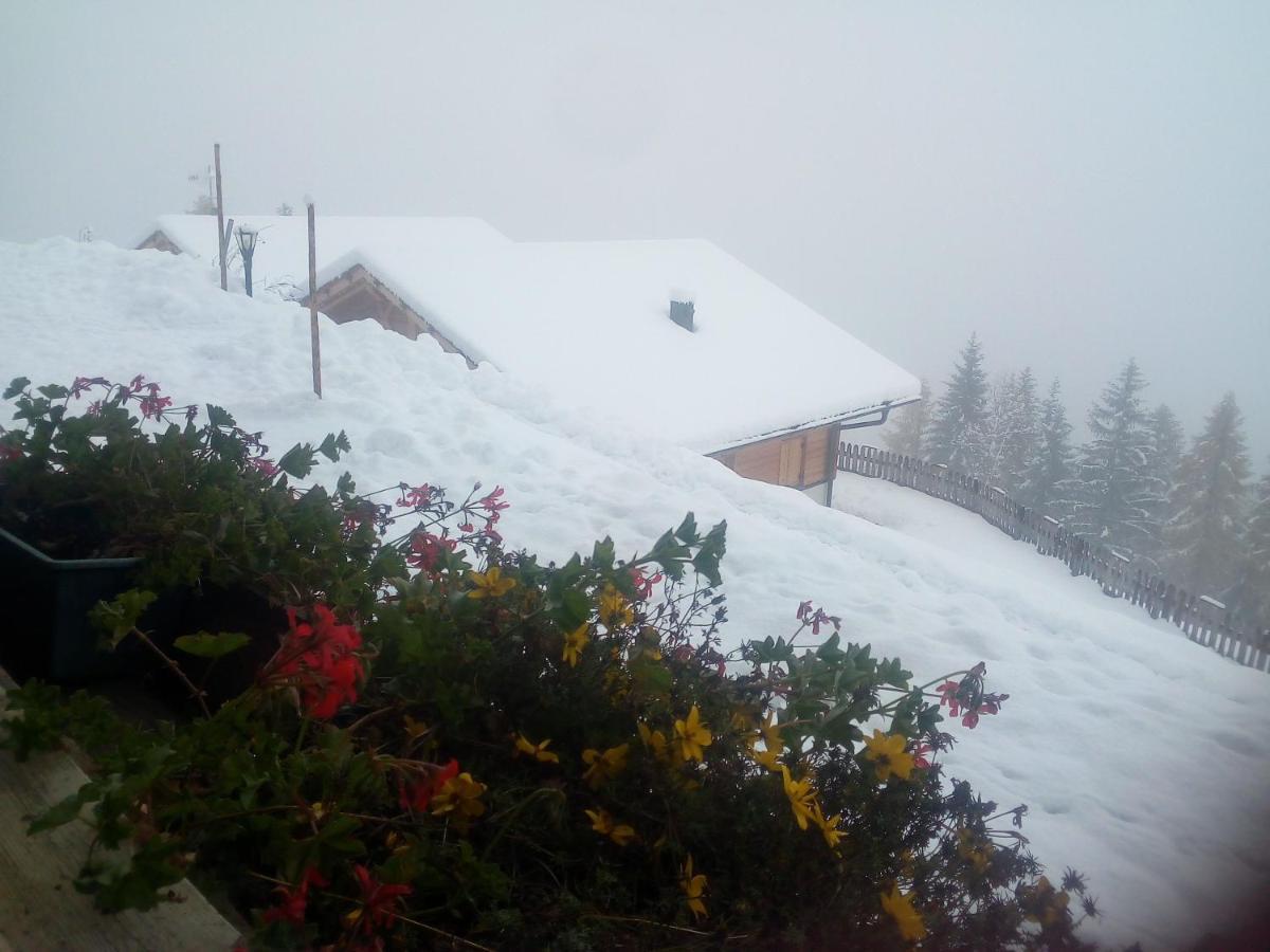 Chalet Niederhaushof Ultimo Zewnętrze zdjęcie