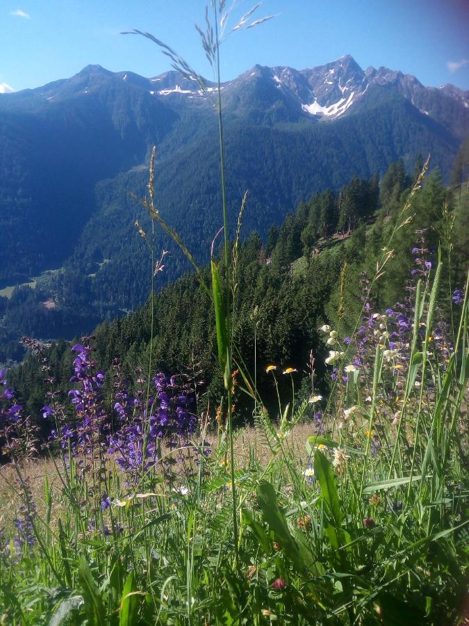 Chalet Niederhaushof Ultimo Zewnętrze zdjęcie