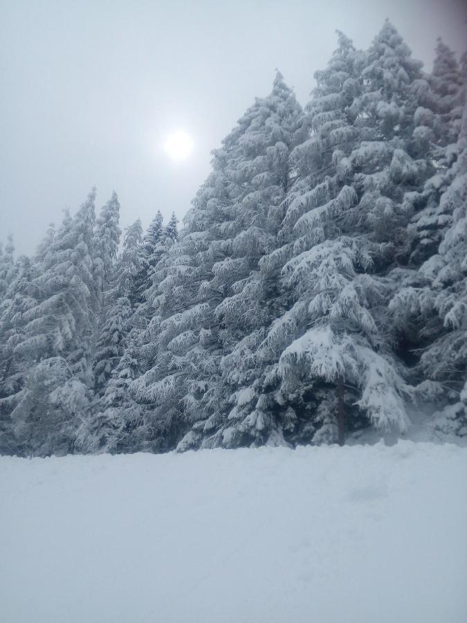 Chalet Niederhaushof Ultimo Zewnętrze zdjęcie